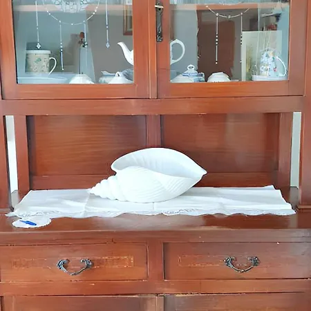 Apartment Charming In Cascine La Croce 70 M² Fireplace Bientina